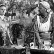 Pinky - galeria zdjęć - filmweb