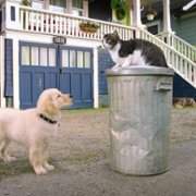 Pup Academy - galeria zdjęć - filmweb