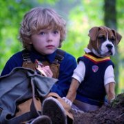 Pup Academy - galeria zdjęć - filmweb