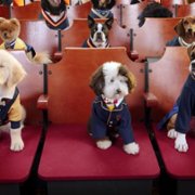 Pup Academy - galeria zdjęć - filmweb