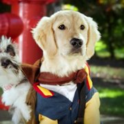 Pup Academy - galeria zdjęć - filmweb