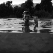 Wiele hałasu o nic - galeria zdjęć - filmweb