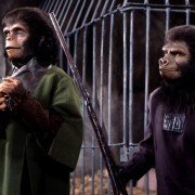 Planeta małp - galeria zdjęć - filmweb