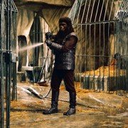 Planet of the Apes - galeria zdjęć - filmweb
