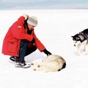 Eight Below - galeria zdjęć - filmweb
