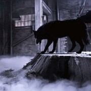 Teen Wolf: Nastoletni Wilkołak - galeria zdjęć - filmweb