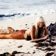Splash - galeria zdjęć - filmweb