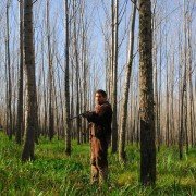 Todos tenemos un plan - galeria zdjęć - filmweb