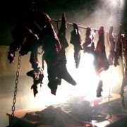 The Hills Have Eyes - galeria zdjęć - filmweb