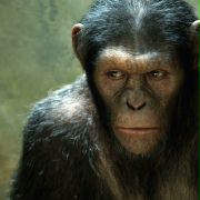 Andy Serkis w Geneza planety małp