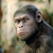 Geneza planety małp - galeria zdjęć - filmweb