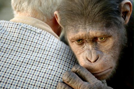 Geneza planety małp - galeria zdjęć - filmweb