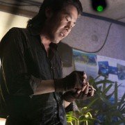 Poo-reun-so-geum - galeria zdjęć - filmweb