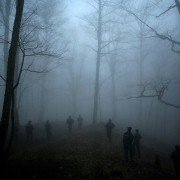 Shekarchi - galeria zdjęć - filmweb