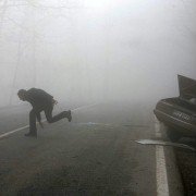 Myśliwy - galeria zdjęć - filmweb