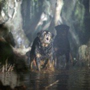 Man-Thing - galeria zdjęć - filmweb