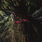 Man-Thing - galeria zdjęć - filmweb