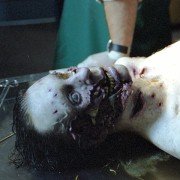 Man-Thing - galeria zdjęć - filmweb