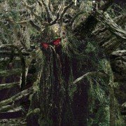 Man-Thing - galeria zdjęć - filmweb