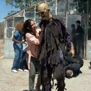 Lepsze życie - galeria zdjęć - filmweb