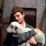 M*A*S*H - galeria zdjęć - filmweb