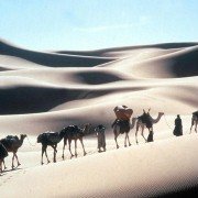 The Sheltering Sky - galeria zdjęć - filmweb