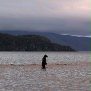 Terre des ours - galeria zdjęć - filmweb