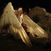 The Vintner's Luck - galeria zdjęć - filmweb