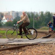 Ryś - galeria zdjęć - filmweb