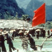 The Killing Fields - galeria zdjęć - filmweb