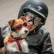 Midsomer Murders - galeria zdjęć - filmweb
