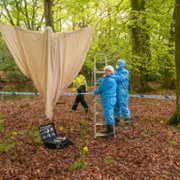Midsomer Murders - galeria zdjęć - filmweb