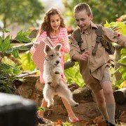 Vir Altyd - galeria zdjęć - filmweb