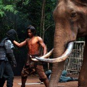 Ong Bak 2 - galeria zdjęć - filmweb