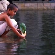 Water - galeria zdjęć - filmweb