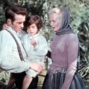 W poszukiwaniu deszczowego drzewa - galeria zdjęć - filmweb
