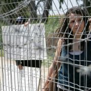 Désengagement - galeria zdjęć - filmweb