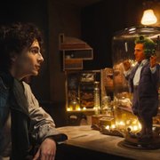 Wonka - galeria zdjęć - filmweb