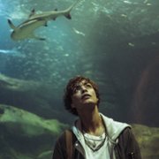 Rekiny w Sekwanie - galeria zdjęć - filmweb
