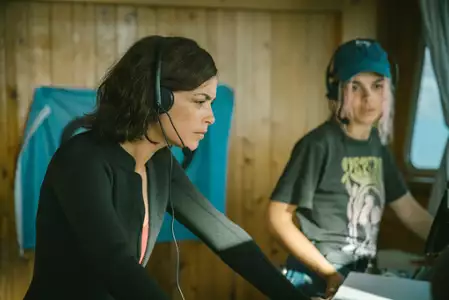 Rekiny w Sekwanie - galeria zdjęć - filmweb