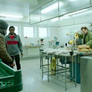 Witajcie w Norwegii! - galeria zdjęć - filmweb