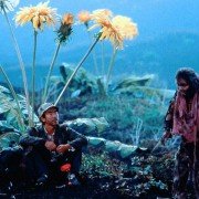 Yume - galeria zdjęć - filmweb