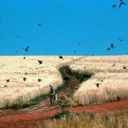Yume - galeria zdjęć - filmweb