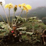 Yume - galeria zdjęć - filmweb