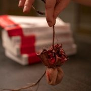 Marianne - galeria zdjęć - filmweb