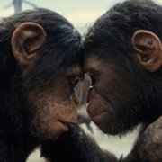 Królestwo Planety Małp - galeria zdjęć - filmweb