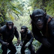 Królestwo Planety Małp - galeria zdjęć - filmweb