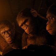 Królestwo Planety Małp - galeria zdjęć - filmweb