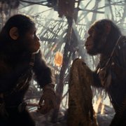 Królestwo Planety Małp - galeria zdjęć - filmweb