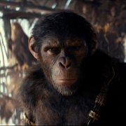 Kingdom of the Planet of the Apes - galeria zdjęć - filmweb